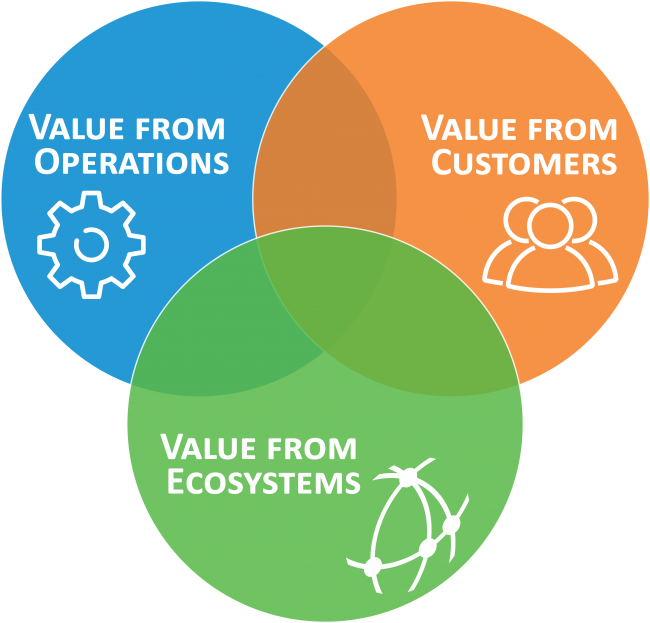 What Are The Three Forms Of Value In Digital Business?